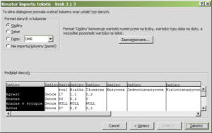 Import tekstu typy danych